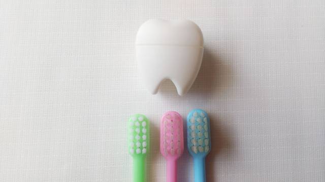 銀座の歯ブラシ専門店・店長が語る｜７種類の歯ブラシを症状別に紹介